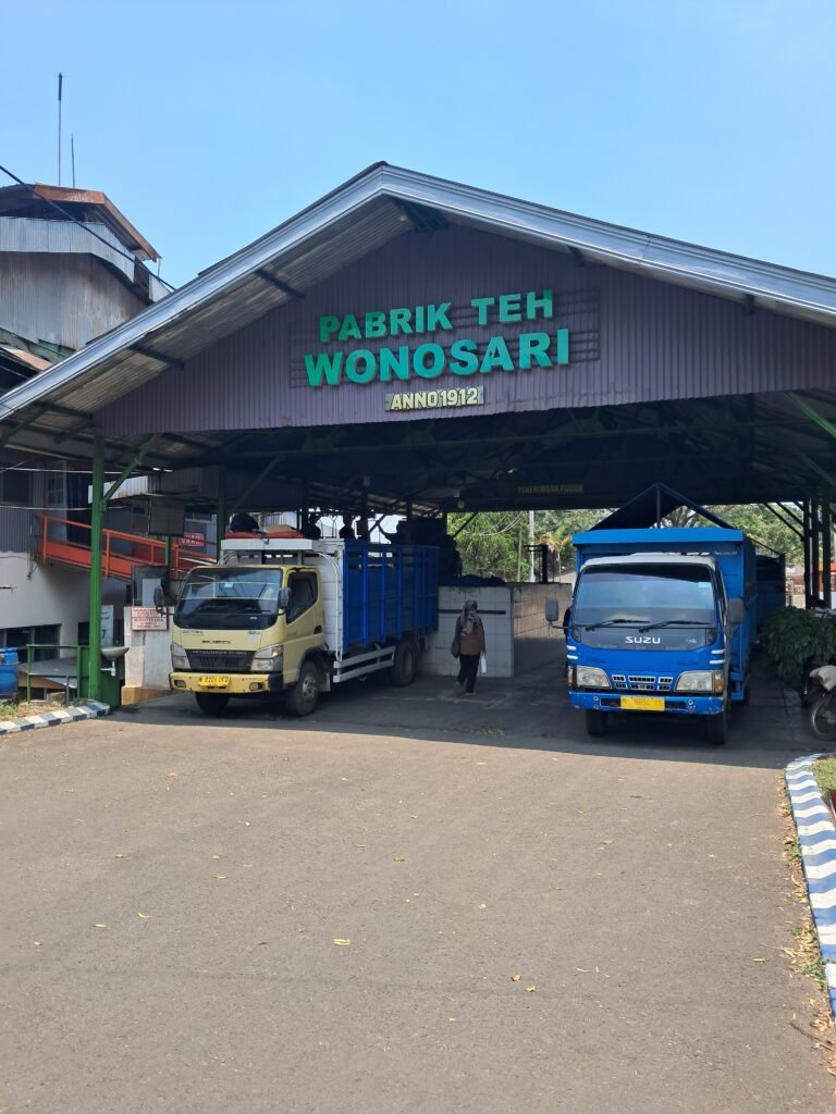 Tumpaksewu bromo ijen tour