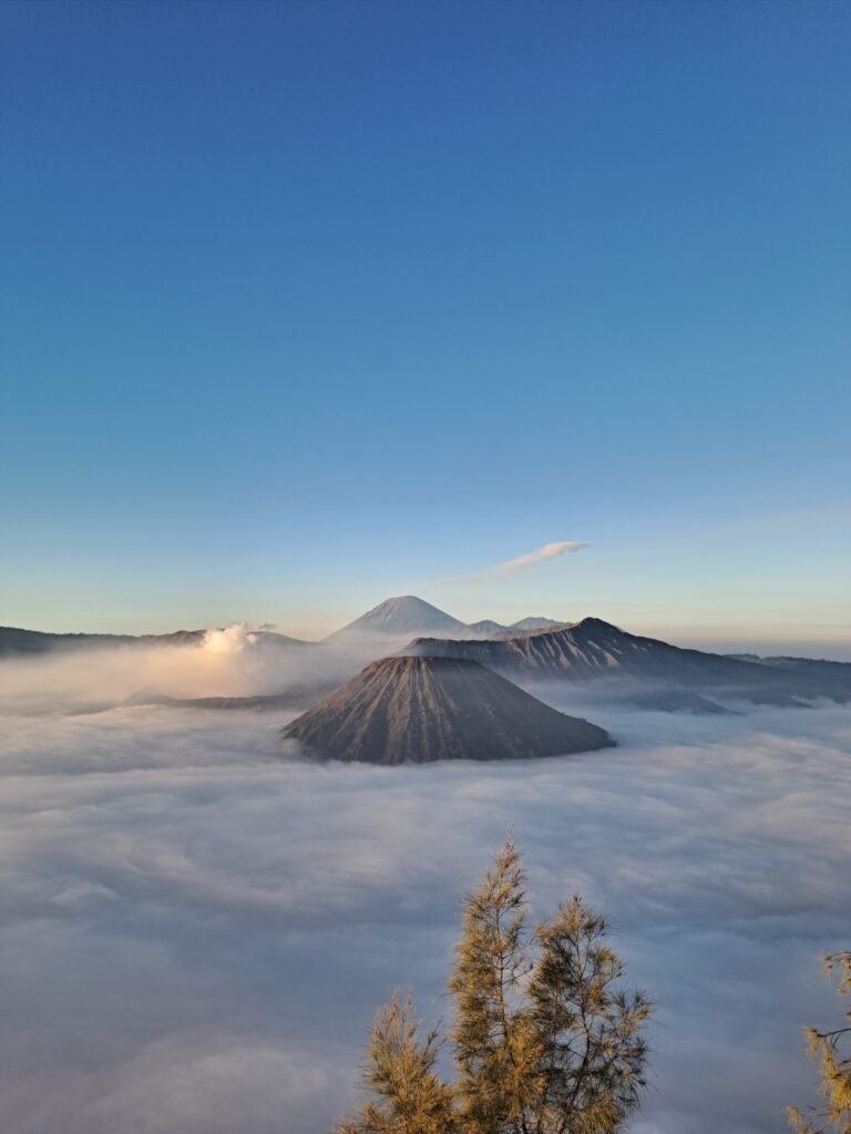 Tumpaksewu bromo ijen tour