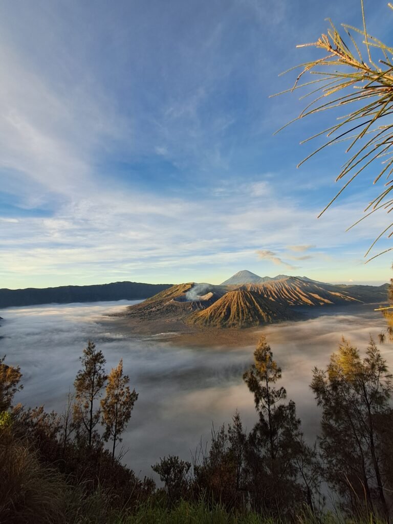 Tumpaksewu bromo ijen tour