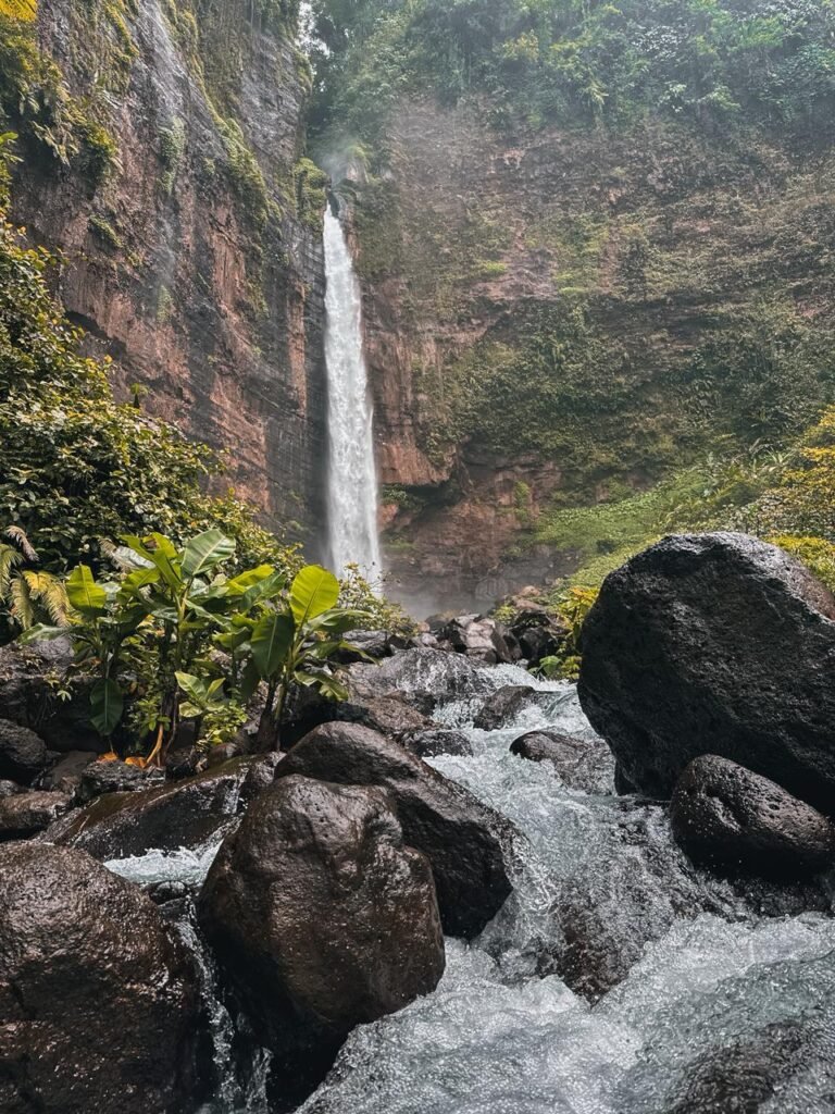 Java island trip