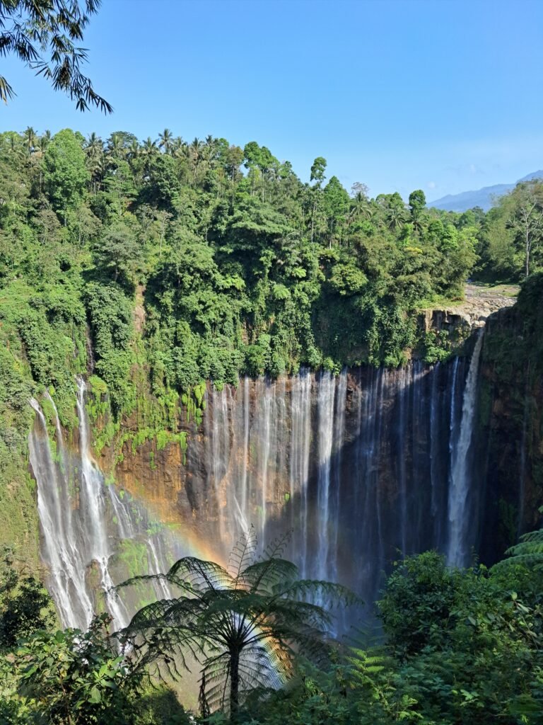 Bromo tumpaksewu ijen by bromo tour java